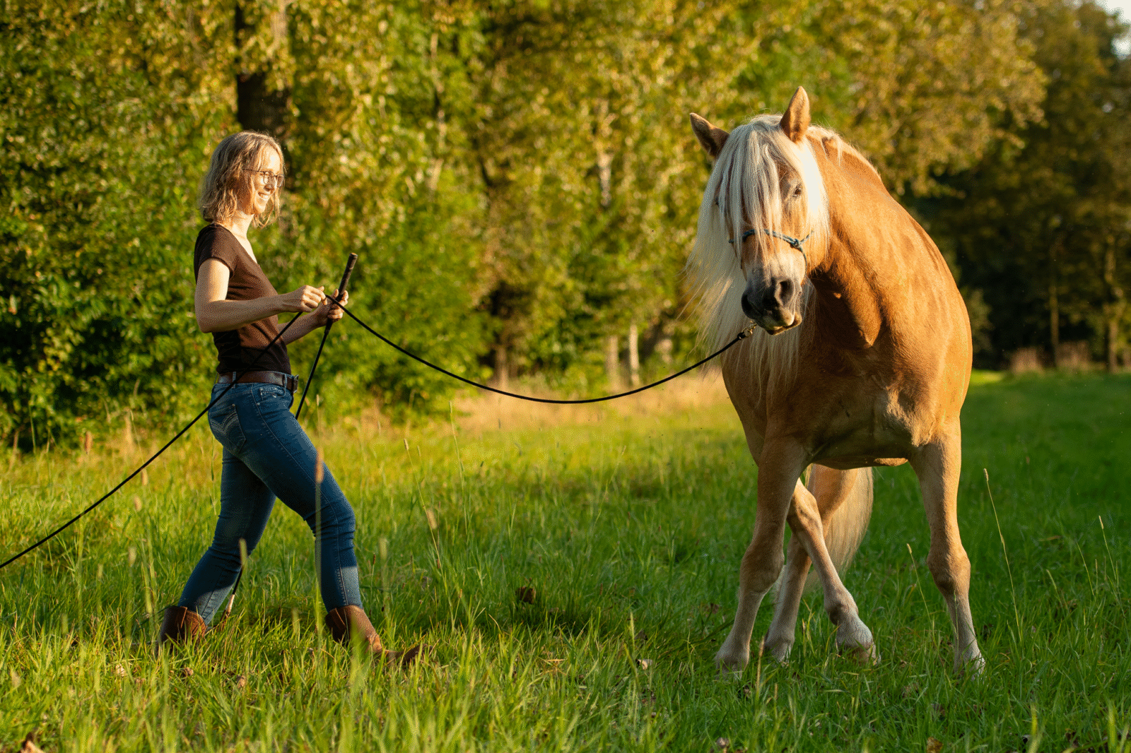 Warum Horsemanship?